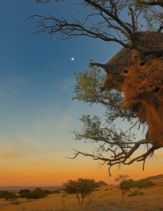 Namibia Moon over Africa