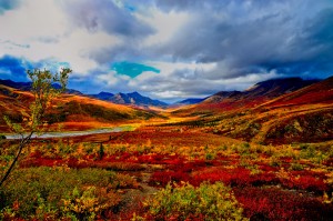 Yukon Indian Summer