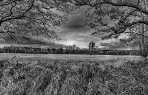 schwarz-weiß HDR Landschaftaufnahme