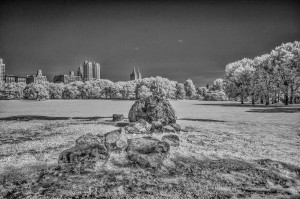 NYC Central Park infrared exposure 720 nm, black&white