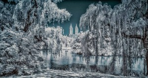 New York infrared HDR, Central Park