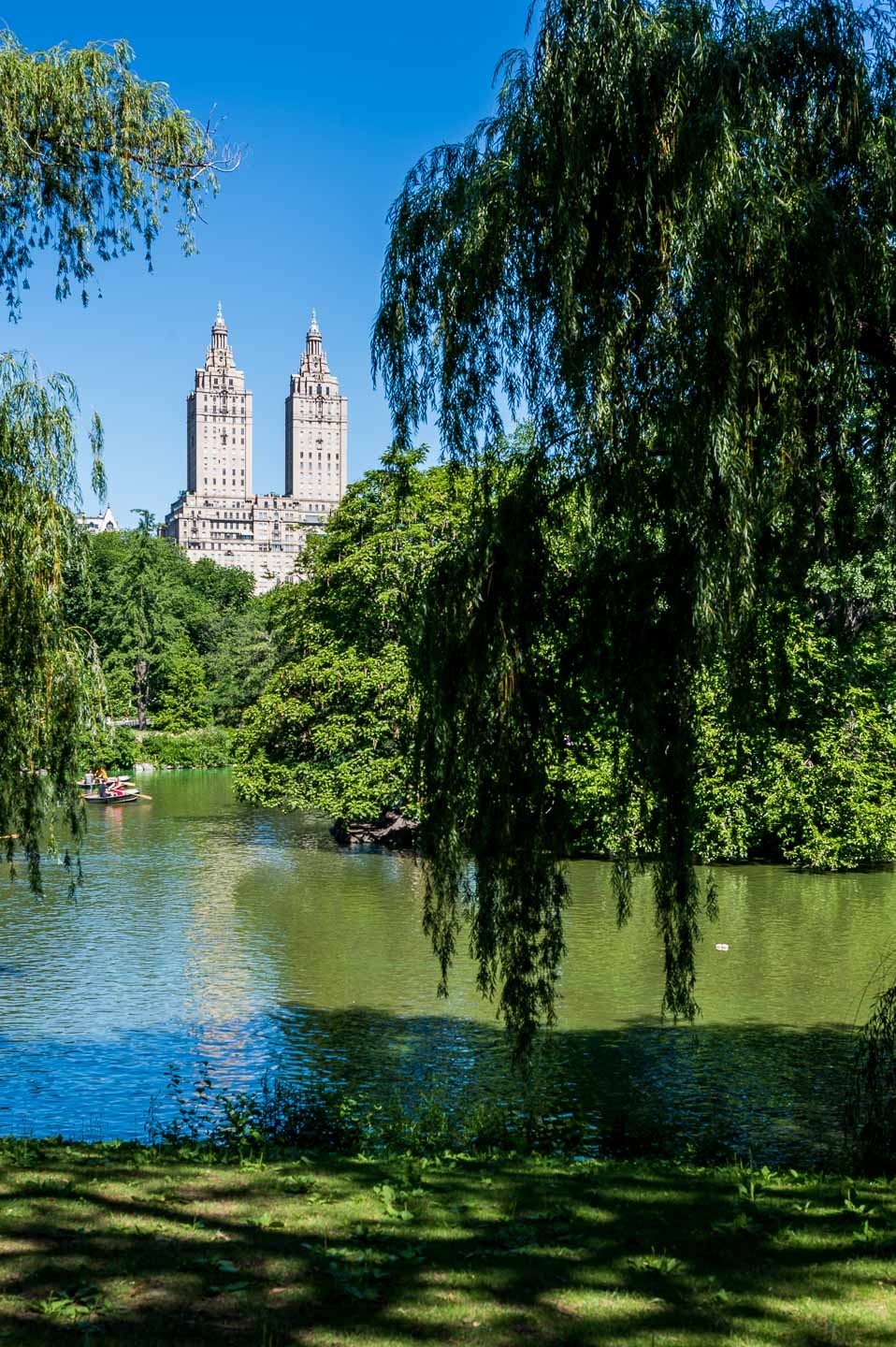 New York Central Park