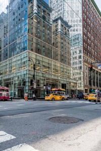 New York Reflections