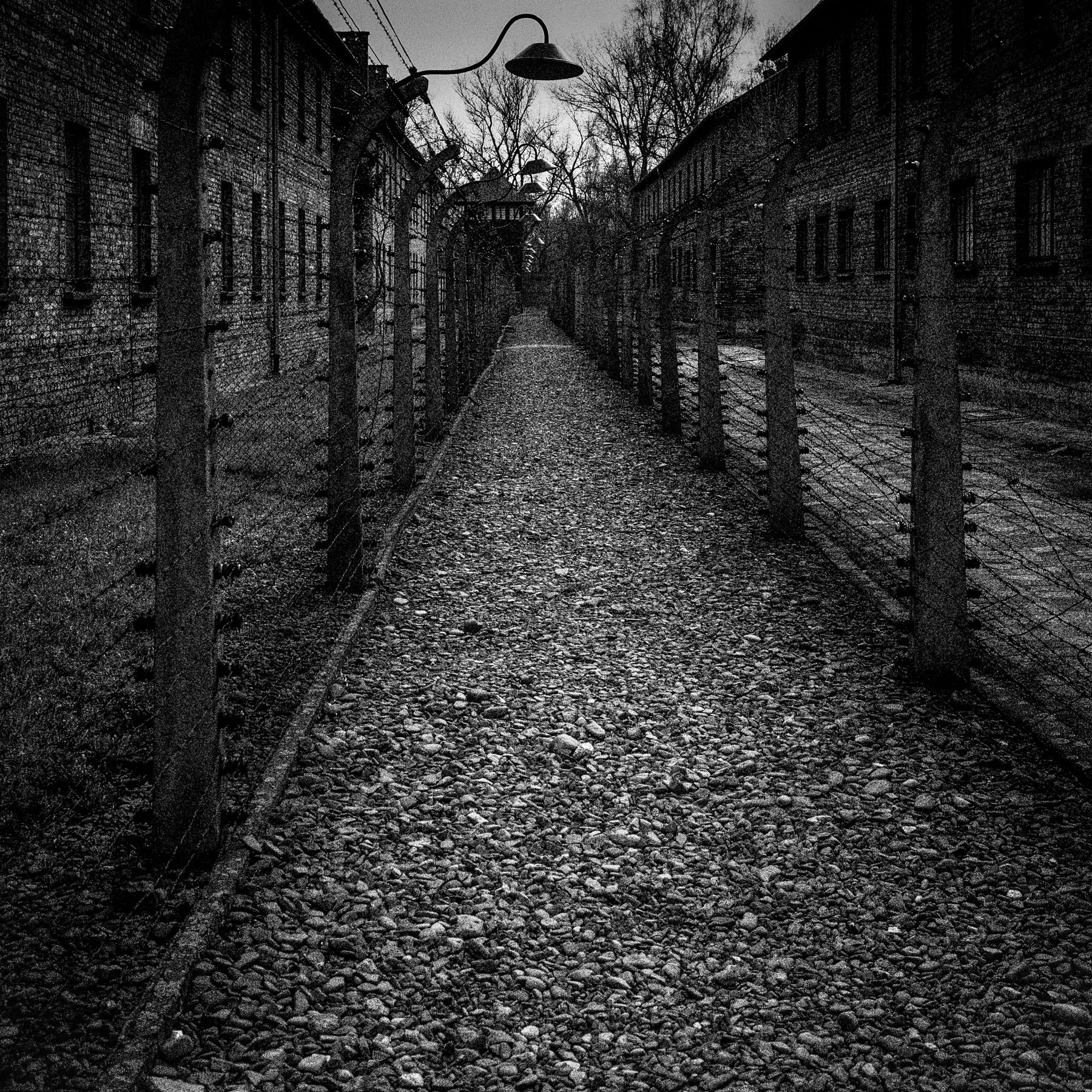 Auschwitz Concentration Camp Birkenau