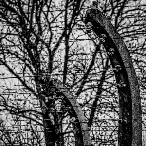 Auschwitz Concentration Camp Birkenau