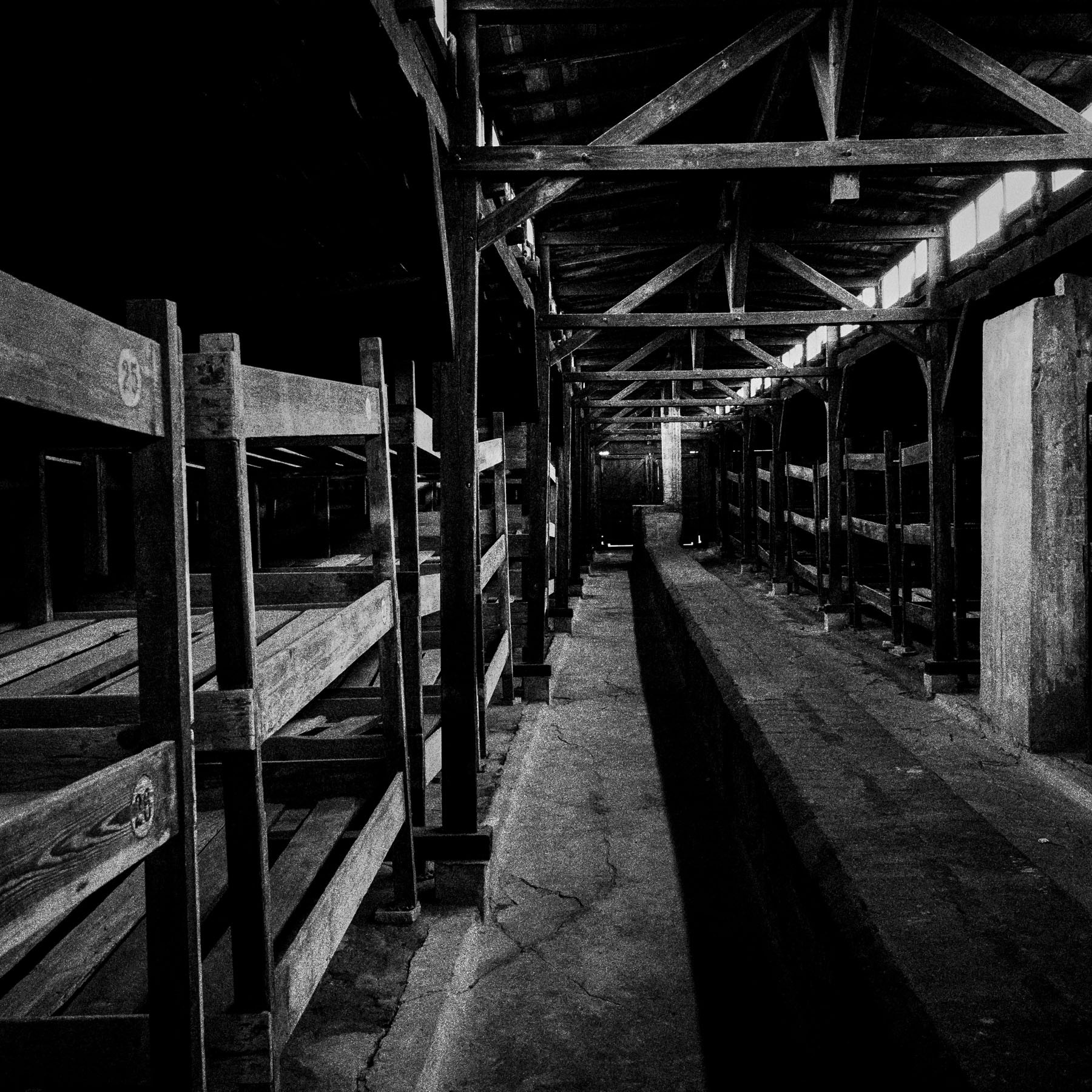 Auschwitz Concentration Camp Birkenau
