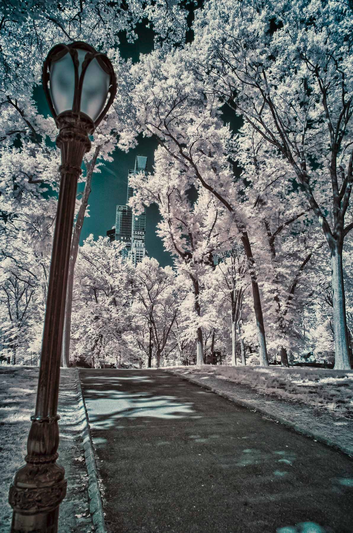 New York City infrared - Central Park