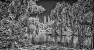 New York City infrared - Central Park B&W