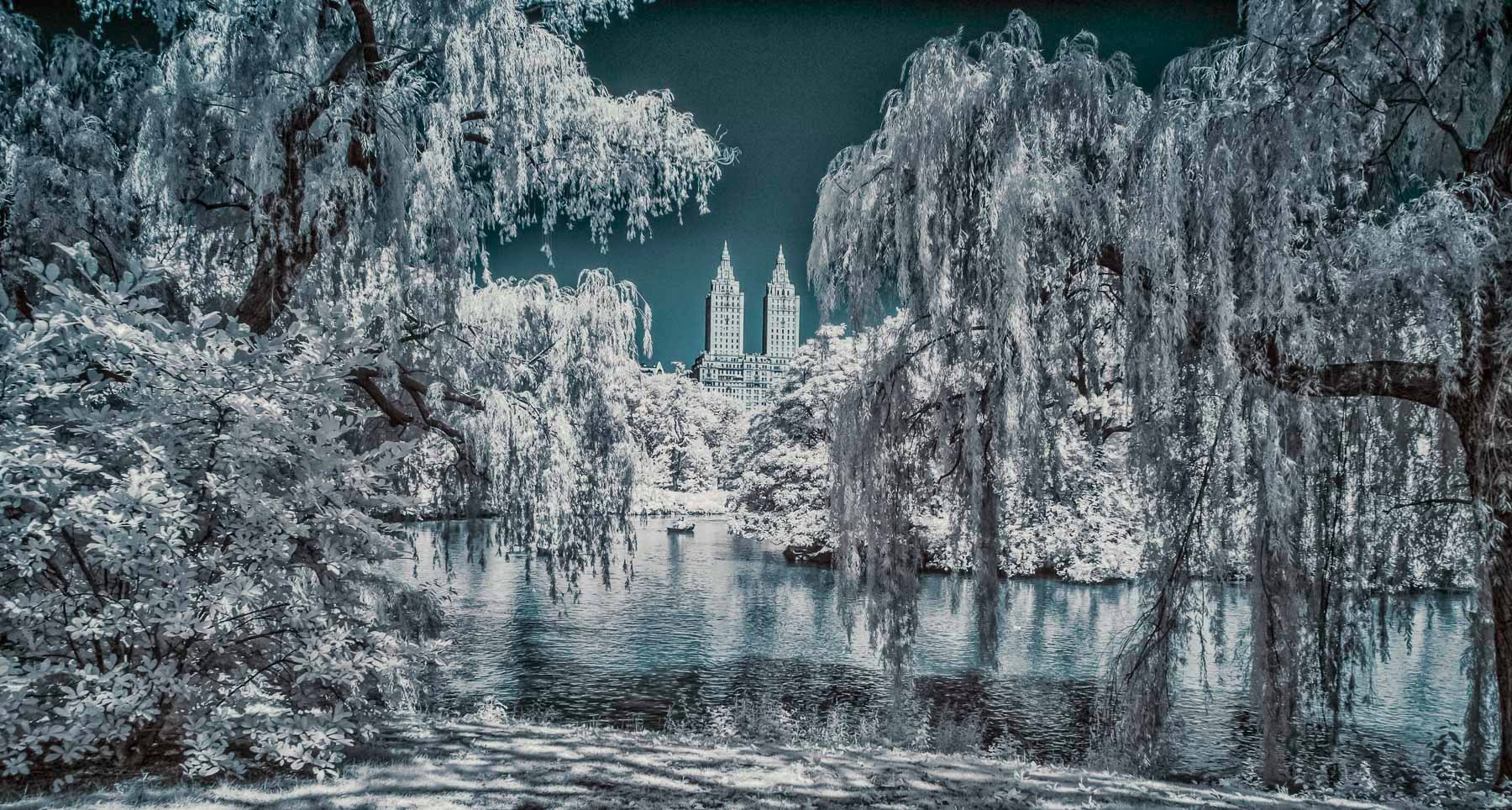 New York City infrared - Central Park