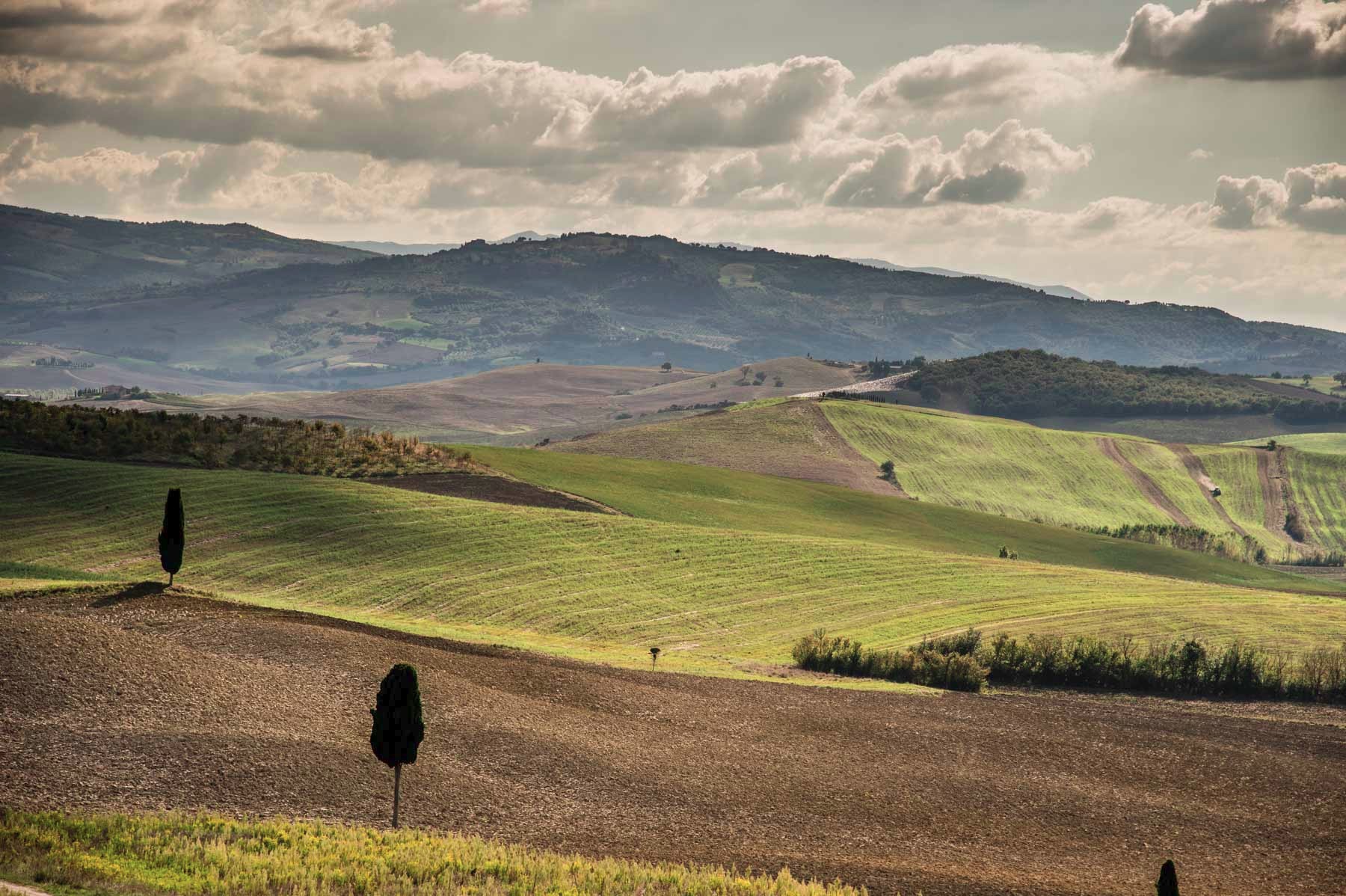 Italy Tuscany Landscape