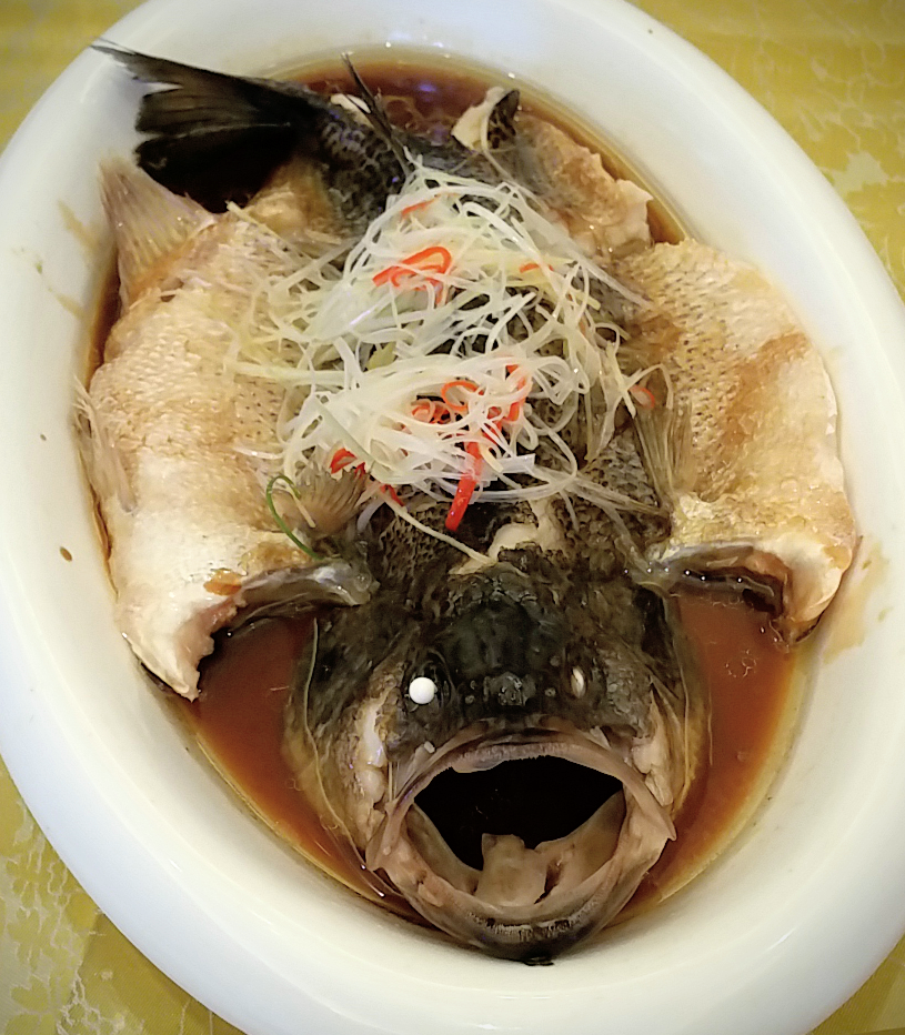 Fish Fish