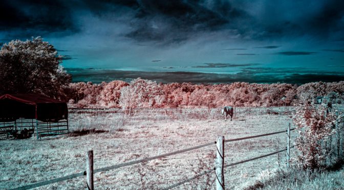 Infrared Photographie