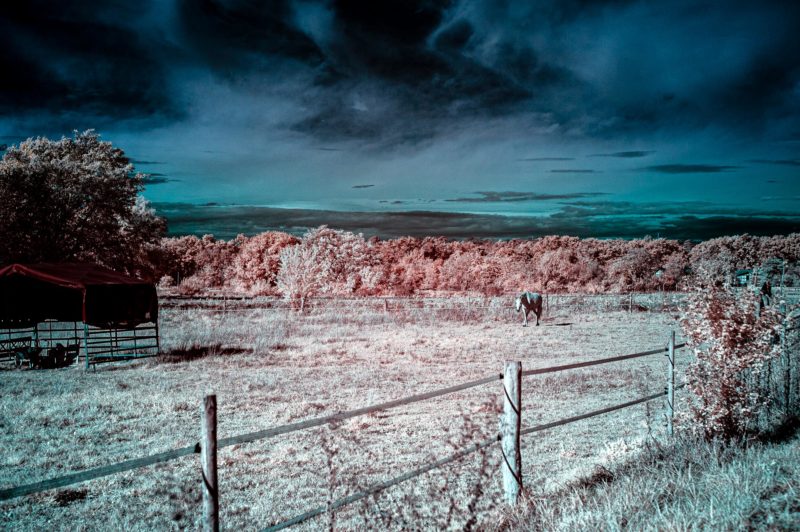 Infrared after Channel swapping